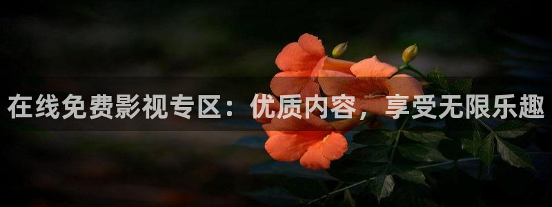 眼影南瓜色