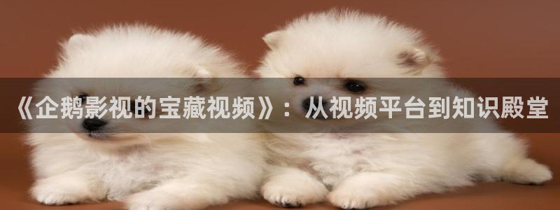 南瓜电影推荐