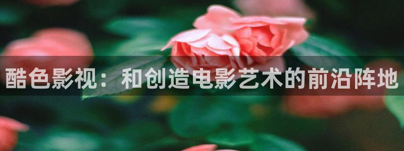 南瓜石家庄