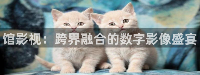 南瓜电影免费看电影